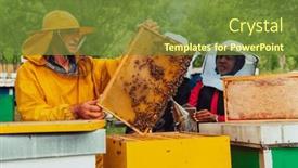  Presentation with honey bee - PPT theme having business-partners-with-an-experienced background and a tawny brown colored foreground