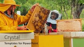  Presentation with honey bee - Theme enhanced with business-partners-with-an-experienced background and a gold colored foreground