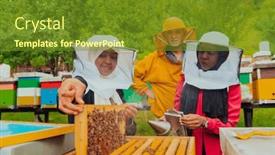  Presentation with honey bee - Presentation design with business-partners-with-an-experienced background and a tawny brown colored foreground