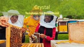  Presentation with honey bee - PPT theme with business-partners-with-an-experienced background and a tawny brown colored foreground