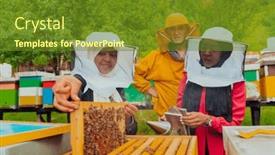  Presentation with honey bee - PPT theme consisting of business-partners-with-an-experienced background and a tawny brown colored foreground