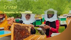  Presentation with honey bee - Slide deck having business-partners-with-an-experienced background and a tawny brown colored foreground