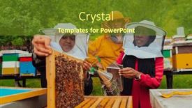  Presentation with honey bee - PPT theme enhanced with business-partners-with-an-experienced background and a tawny brown colored foreground
