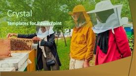  Presentation with honey bee - Theme with business-partners-with-an-experienced background and a tawny brown colored foreground