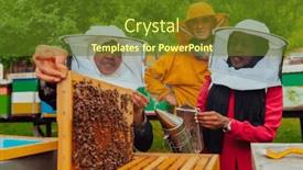  Presentation with honey bee - Presentation enhanced with business-partners-with-an-experienced background and a tawny brown colored foreground