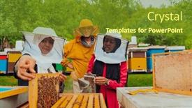  Presentation with honey bee - Slide set with business-partners-with-an-experienced background and a tawny brown colored foreground