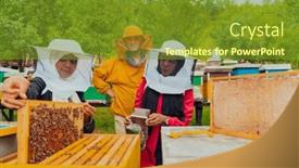  Presentation with honey bee - PPT layouts featuring business-partners-with-an-experienced background and a gold colored foreground