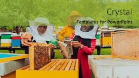  Presentation with honey bee - PPT theme having business-partners-with-an-experienced background and a yellow colored foreground