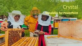  Presentation with honey bee - Presentation theme with business-partners-with-an-experienced background and a tawny brown colored foreground