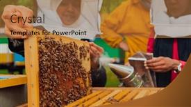 Presentation with honey bee - Presentation theme enhanced with business-partners-with-an-experienced background and a gold colored foreground
