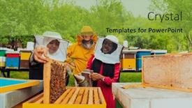  Presentation with bee - Theme having business-partners-with-an-experienced background and a yellow colored foreground
