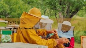  Presentation with honey bee - PPT layouts enhanced with business-partners-with-an-experienced background and a gold colored foreground