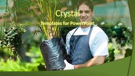  Presentation with nursery - Amazing PPT theme having business plant - young gardener working in nursery backdrop and a tawny brown colored foreground