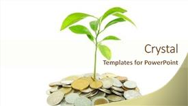  Presentation with plant - Cool new presentation with business tree - plant in coins backdrop and a  colored foreground