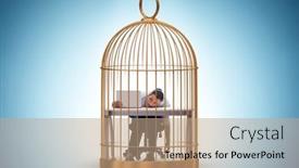  Presentation with cage - Slides enhanced with businessman-caught-in-the-cage background and a  colored foreground