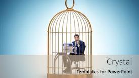  Presentation with freshly caught anchovy fishes engroulis - Presentation theme with businessman-caught-in-the-cage background and a mint green colored foreground