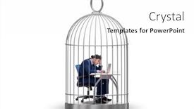  Presentation with animal cruelty cage bird s - Presentation design featuring businessman-caught-in-the-cage background and a white colored foreground