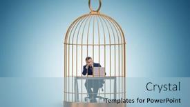  Presentation with animal cruelty cage bird s - Slide deck consisting of businessman-caught-in-the-cage background and a light blue colored foreground