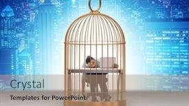  Presentation with bird out of cage - Slide set enhanced with businessman-caught-in-the-cage background and a coral colored foreground