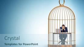  Presentation with freshly caught anchovy fishes engroulis - Theme featuring businessman-caught-in-the-cage background and a sky blue colored foreground