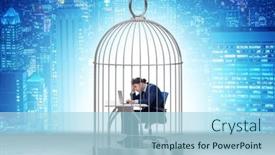  Presentation with animal cruelty cage bird s - Presentation theme consisting of businessman-caught-in-the-cage background and a light blue colored foreground