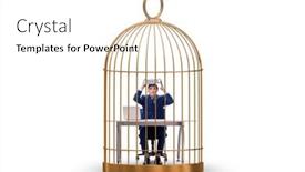 Presentation with bird out of cage - Theme having businessman-caught-in-the-cage background and a white colored foreground