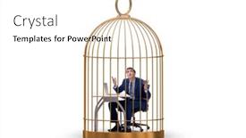  Presentation with bird out of cage - Slides enhanced with businessman-caught-in-the-cage and a white colored foreground