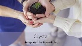  Presentation with plant growth - Theme featuring businessman-in-blue-shirt-holding background and a light blue colored foreground