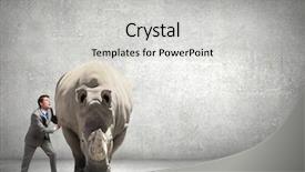  Presentation with effort - Slides consisting of businessman making an effort to move huge rhino background and a light gray colored foreground