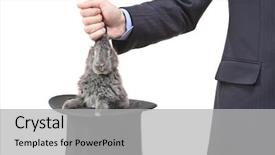 Presentation with top hat - Colorful presentation theme enhanced with businessman pulling a rabbit backdrop and a light gray colored foreground