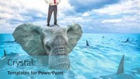  Presentation with sharks - Presentation theme having businessman-standing-on-an-elephant background and a light blue colored foreground
