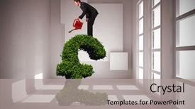  Presentation with red white grey - PPT layouts having businessman watering with red can background and a light gray colored foreground