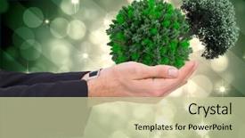  Presentation with shimmering - PPT theme consisting of businessman with arms out presenting something against light design shimmering on green background and a soft green colored foreground