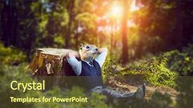  Presentation with rodent - Amazing slide deck having groundhog - businessman with rodent head sitting backdrop and a tawny brown colored foreground