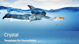  Presentation with under water - Amazing slide set having businessman with shark flipper swiming backdrop and a teal colored foreground