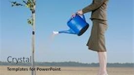  Presentation with desert - Colorful presentation design enhanced with businesswoman-watering-tree-in-desert backdrop and a light blue colored foreground