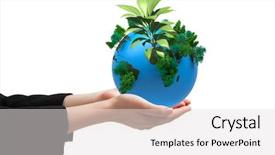  Presentation with seedling - Cool new PPT layouts with businesswomans hands presenting against little backdrop and a  colored foreground