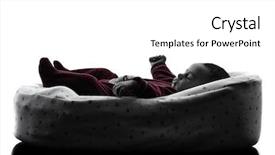  Presentation with new born - Presentation theme enhanced with bussinee people - one new born baby sleeping background and a white colored foreground
