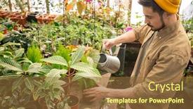  Presentation with nursery - Slide deck enhanced with busy-young-nursery-worker background and a tawny brown colored foreground