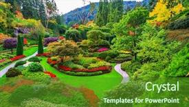  Presentation with colorful flower - Audience pleasing slide deck consisting of butchart gardens - gardens on vancouver backdrop and a forest green colored foreground