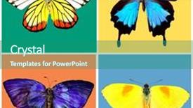  Presentation with butterflies - Audience pleasing presentation design consisting of butterflies collection on bright background backdrop and a ocean colored foreground