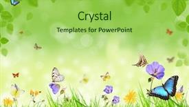  Presentation with purple spring - Beautiful PPT theme featuring butterflies purple background - beautiful spring meadow backdrop and a yellow colored foreground