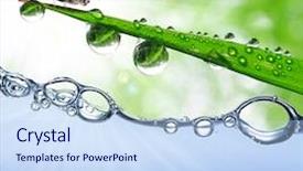  Presentation with green leaf water drops - Cool new PPT theme with butterfly above the water backdrop and a sky blue colored foreground