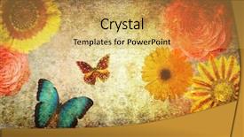  Presentation with butterfly - PPT theme with butterfly book - grungy old textured paper background and a yellow colored foreground