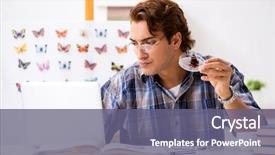  Presentation with new neural network - Presentation theme having butterfly book - student entomologist studying new species background and a violet colored foreground