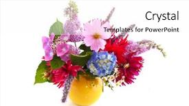  Presentation with cosmos - Presentation theme with butterfly bush - garden flower bouquet with hydrangea background and a white colored foreground