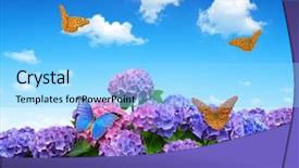  Presentation with sky blue - Audience pleasing slides consisting of landscape of green valley and layers of rice fields in sapa vietnam backdrop and a tawny brown colored foreground.