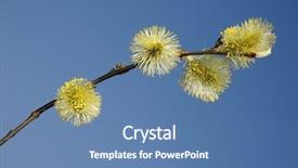  Presentation with dubai skyline on blue sky - Presentation theme featuring butterfly cross - branch of spring pussy willow background and a teal colored foreground