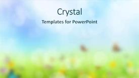  Presentation with abstract spring green - Beautiful presentation featuring butterfly effect - abstract green blur background backdrop and a sky blue colored foreground