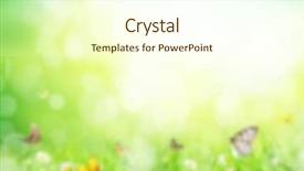  Presentation with abstract spring green - Presentation theme with butterfly effect - abstract green blur background background and a cream colored foreground